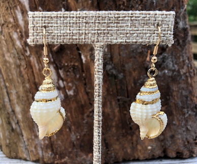 3-D Drill Shell Earrings